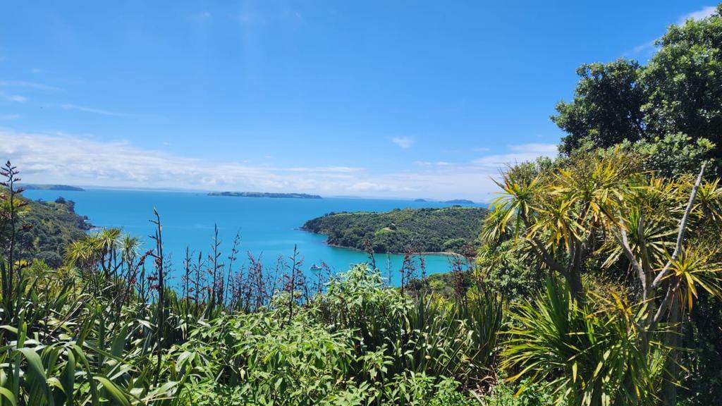 Ostrvo Waiheke, Novi&nbsp;Zeland