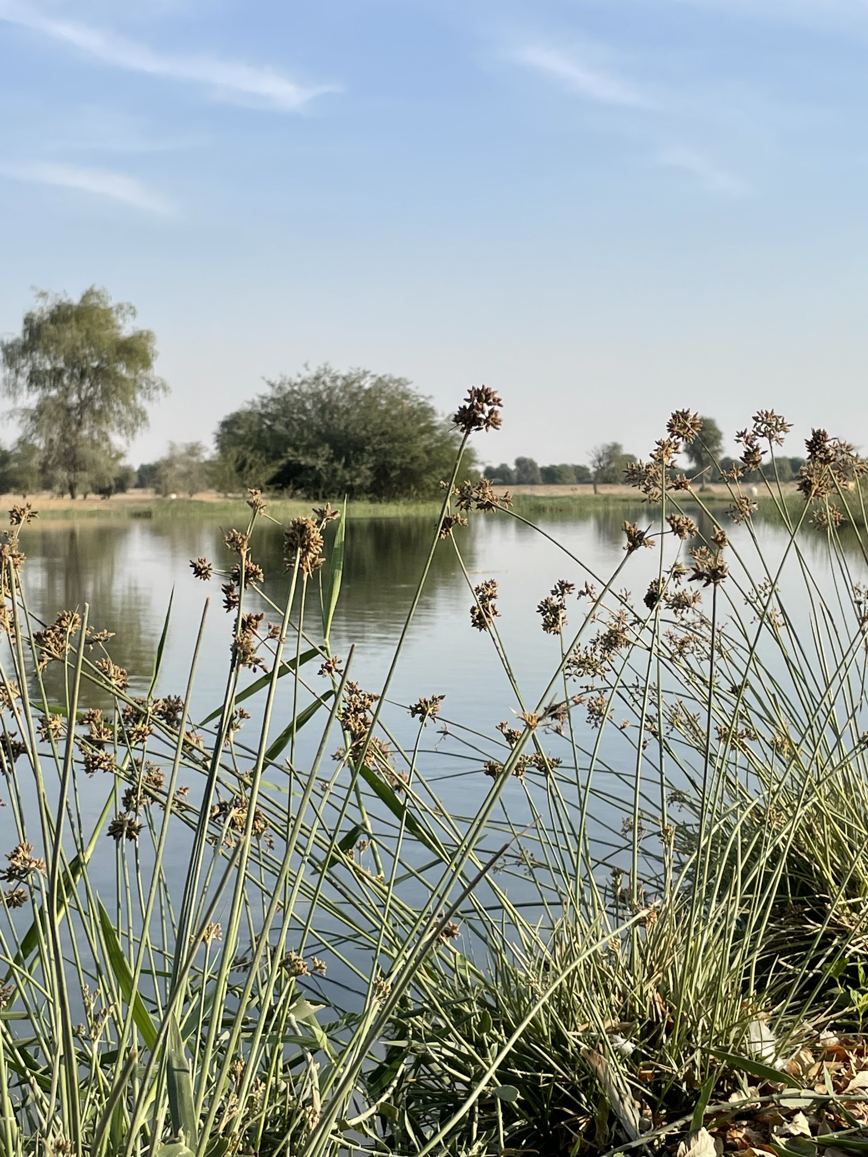 Dubai from 28th Feb onwards